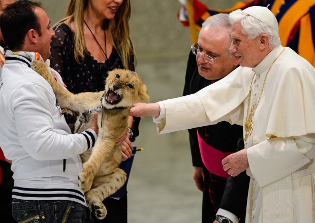 Pope-Benedict-XVI-caresses-a-lion-AFP