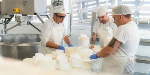 World Cheese Awards give prizes to cheese made by people with disabilities