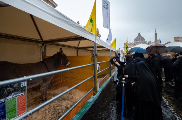 blessing the animals for the feast day of Saint Anthony Abbot, protector of animals.