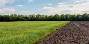 Trouble letting yourself rest? Let this Jewish farming practice inspire you 