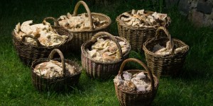 Don’t waste these 3 things, urges Pope