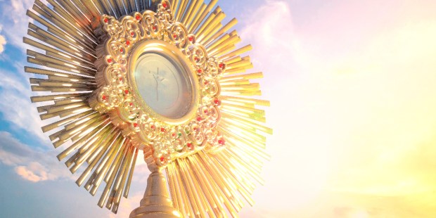 9 Beautiful books to teach children about Jesus in the Eucharist - Vimarsana News