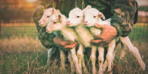 Following is prayer and life is something we learn