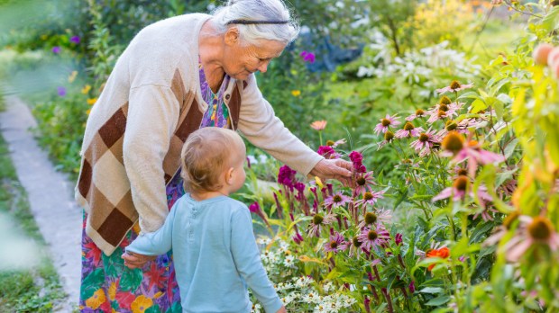 grandma-senior-elderly-child-garden
