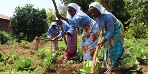 Sisters provide an oasis of hope in eastern Congo