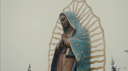 (Video) Get to know Our Lady of Guadalupe in 4 minutes