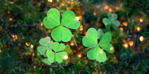 St. Patrick&#8217;s shamrock and other natural signs of faith