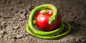 Jesus’ trick for bad choices that we can use too