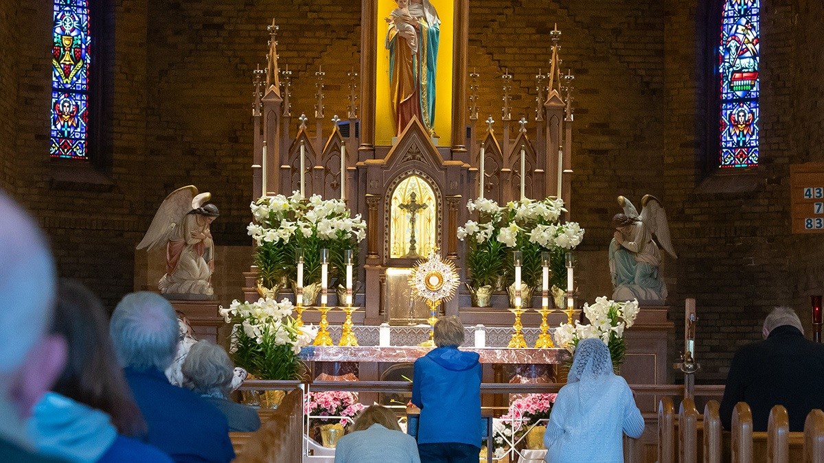 The National Shrine of our Lady of Good Help