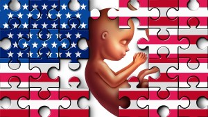 Baby, American flag Puzzle