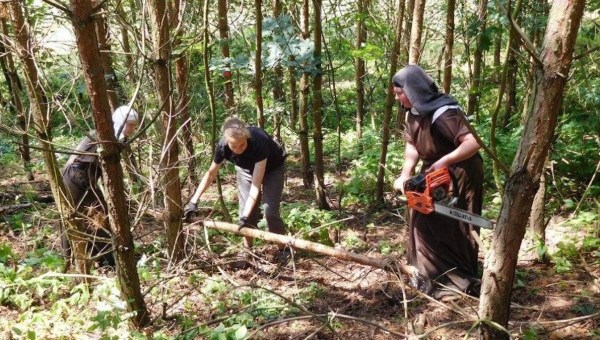 Carmelite nuns clearing trees on a farm in Drasty