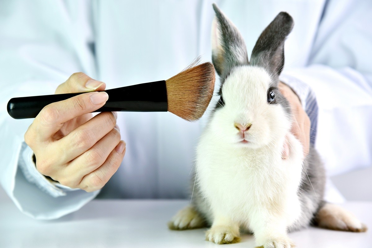 Lab bunny, research animal, cosmetics