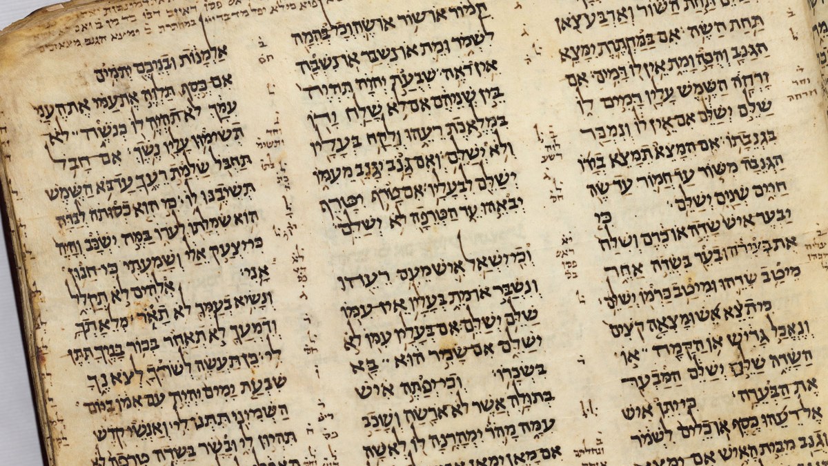 CODEX-SASSOON