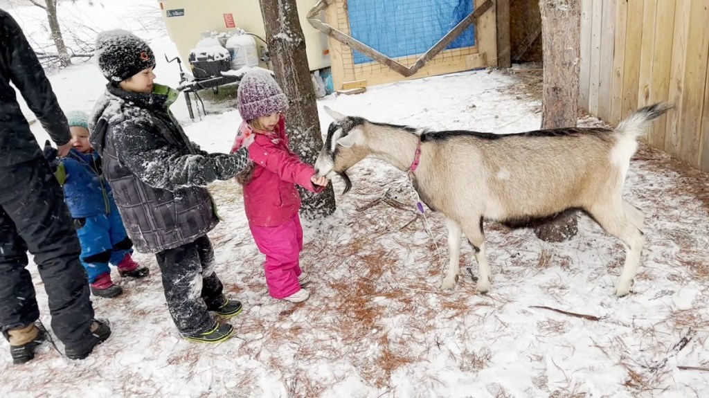 Jacob Rudd Family with Goat in snow