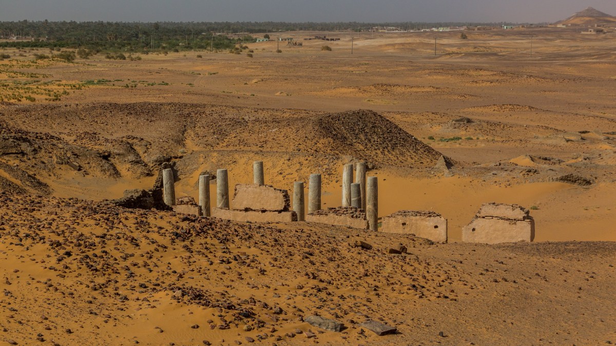 dongola-1.jpeg