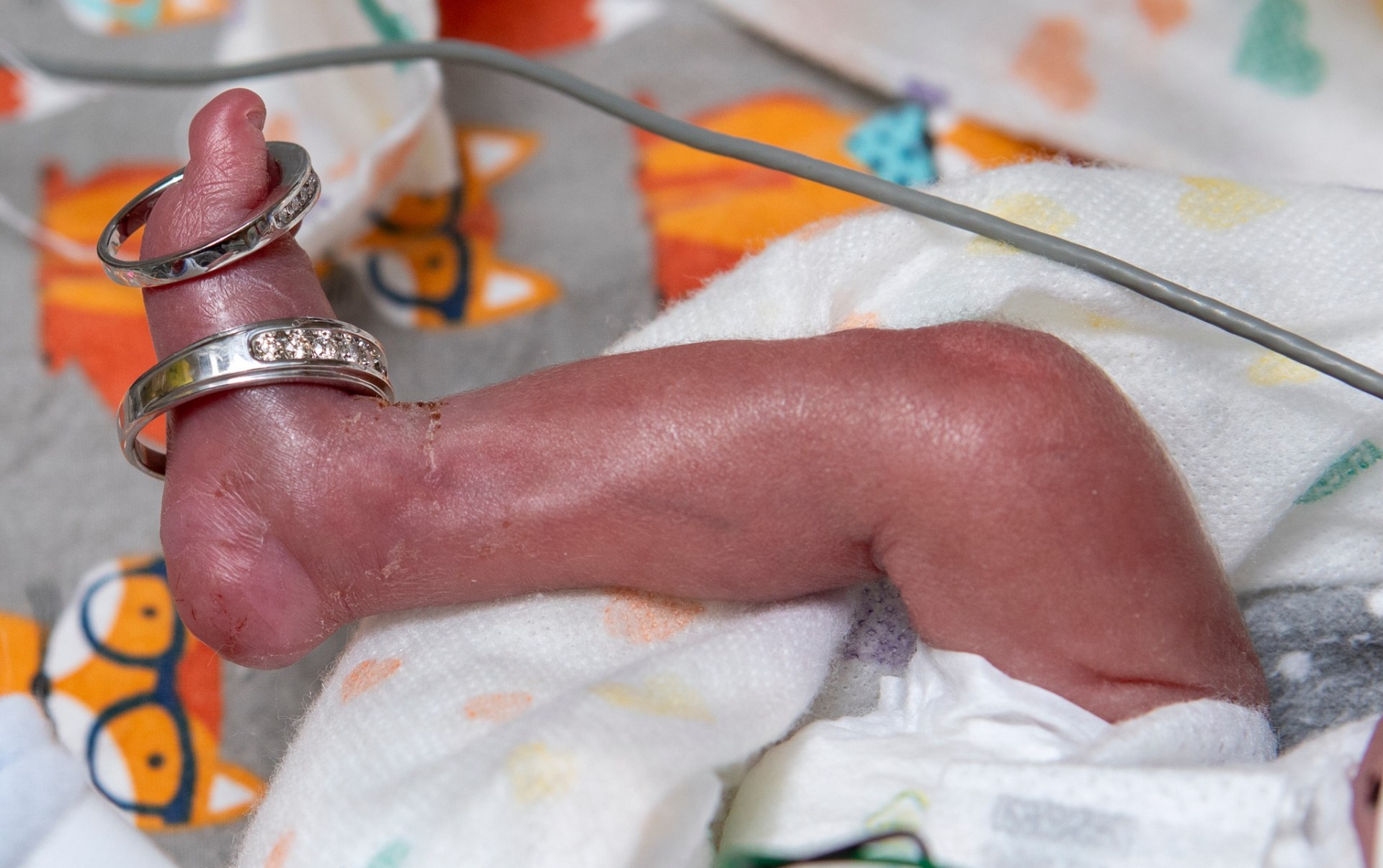 Chandler-Brock-and-Levi-Gonzalez-wedding-at-Penn-State-Health-Childrens-Hospital-newborn-Yuriel-Gonzalez-Brock-ring-bearer
