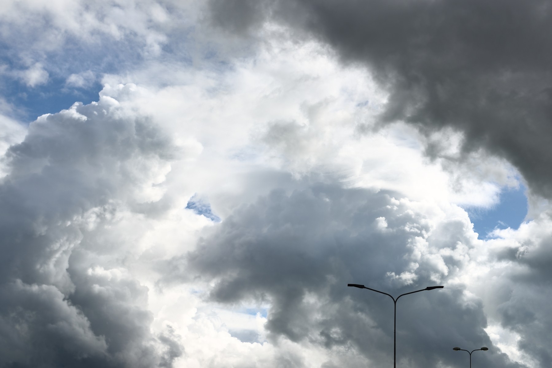 Sometimes just by looking up, the world changes - Vimarsana News