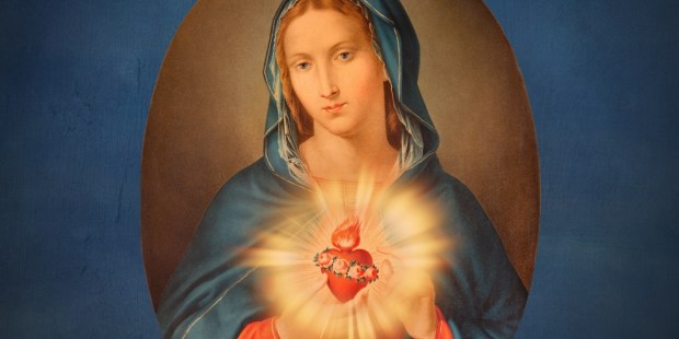 How to make a consecration to the Immaculate Heart of Mary - Vimarsana News