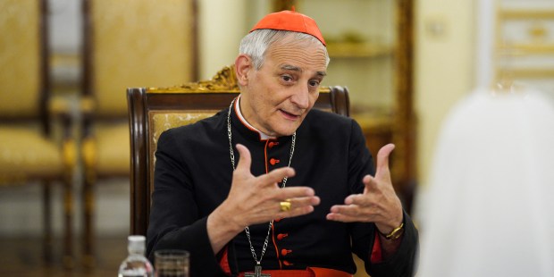 In Beijing, Pope's envoy works for end of embargo on Ukrainian grains - Vimarsana News