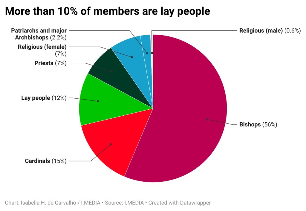Graph on the percentage of the different profiles as members of the October assembly of the synod