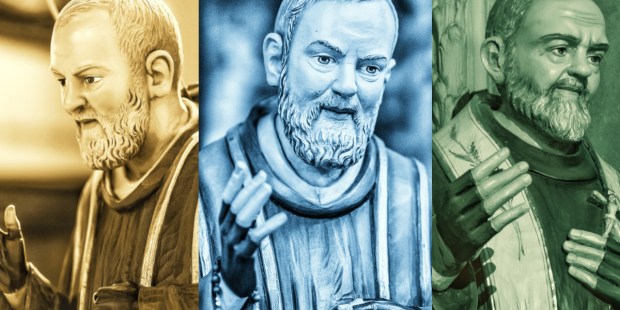 Let this beloved saint help you find meaning in September - Vimarsana News