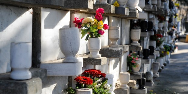 Water cremation not viable for Catholics, bishops say - Vimarsana News