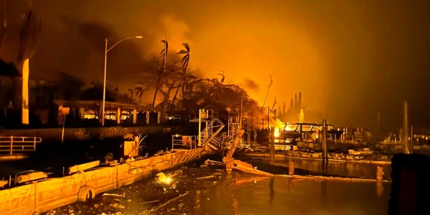 5 Ordinary people who became heroes during Maui wildfires - Vimarsana News