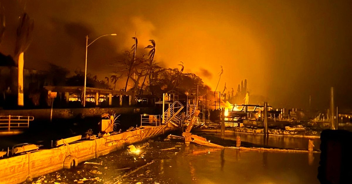 5 Ordinary people who became heroes during Maui wildfires