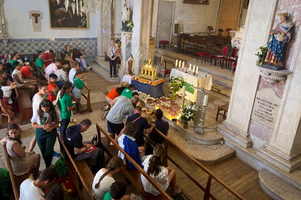 Article-on-St-Therese-Isabella-Carvalho-Theophane-article