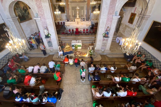 Article-on-St-Therese-Isabella-Carvalho-Theophane-article