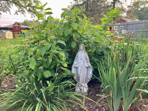 Mary-statue-garden