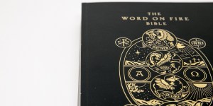 Word On Fire campaign donates over 10,000 Bibles to students