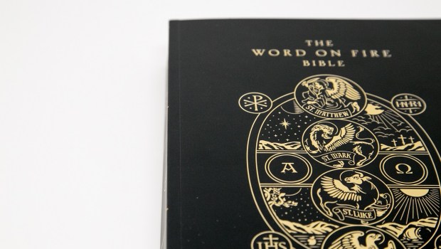Word on Fire Bible: The Gospels