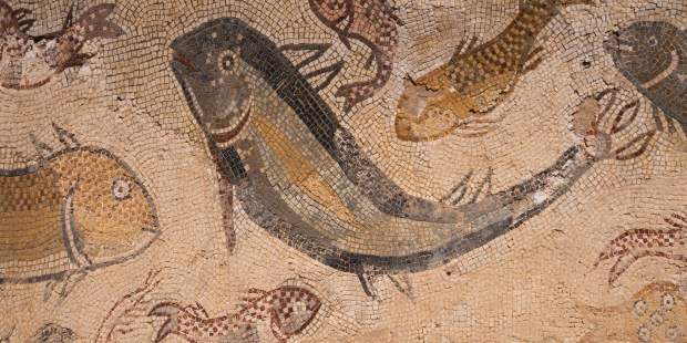 A major exhibition on Byzantine African art visits the MET - Vimarsana News