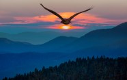 Aleteia Catholic Spirituality Lifestyle World News And Culture