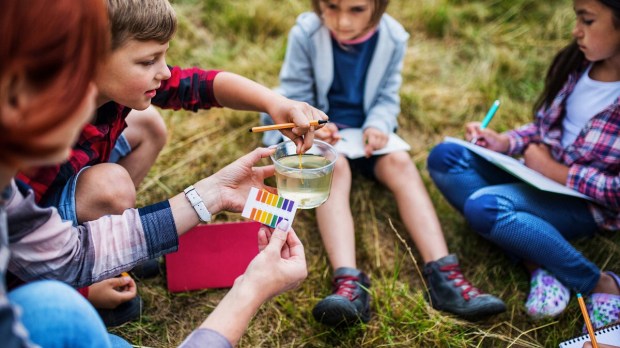 Kids study outside