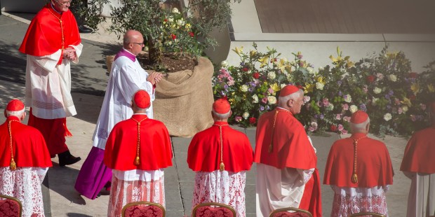 Who are the 3 non-elector cardinals created September 30? - Vimarsana News