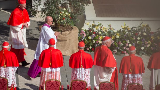 Pope Francis consistory new cardinals September 30-2023