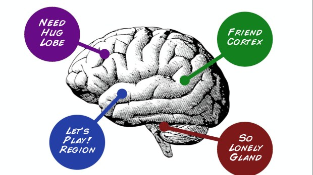 Brain with funny labels showing our need for others