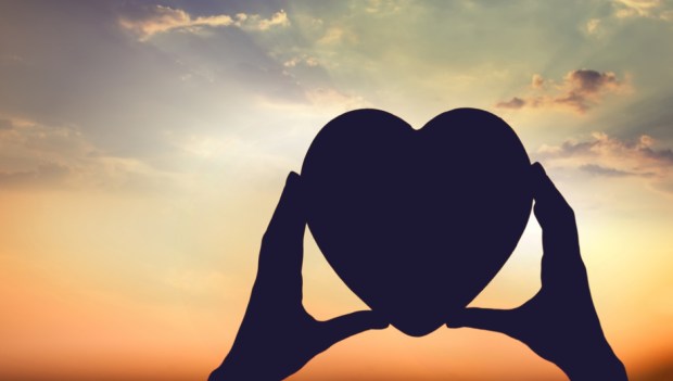 Daily Item image #10