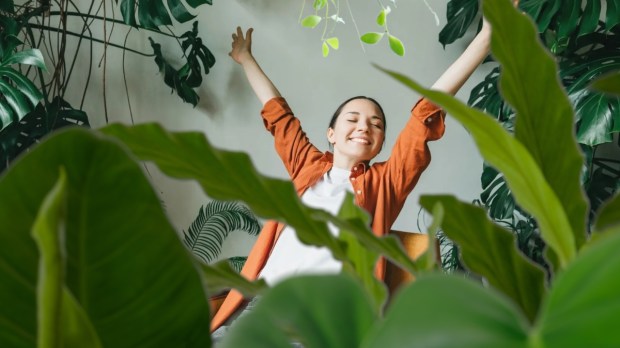 Young woman stretching surrounded by houseplants.