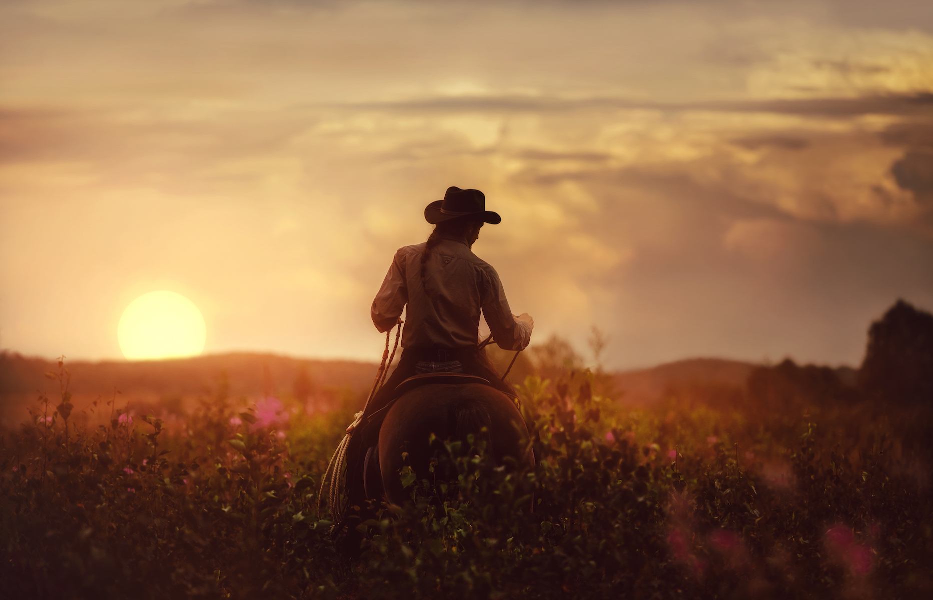 rancher man horseback sunset field