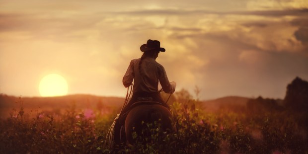 The rancher: I watched him all week and he taught me of God - Vimarsana News