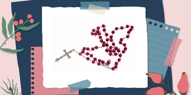 Get to know Jesus with this "scrapbook," encourages priest - Vimarsana News