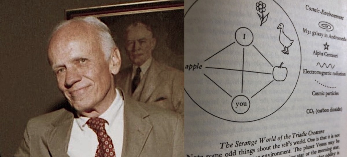 Walker Percy and excerpt from Lost in the Cosmos.