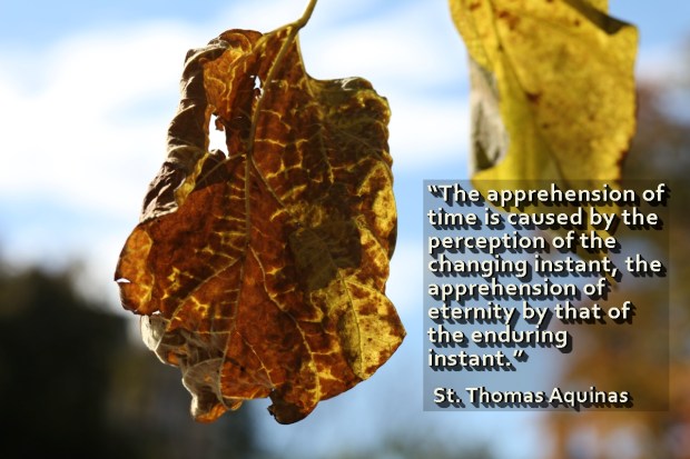 (SLIDESHOW) View autumn through the eyes of the saints