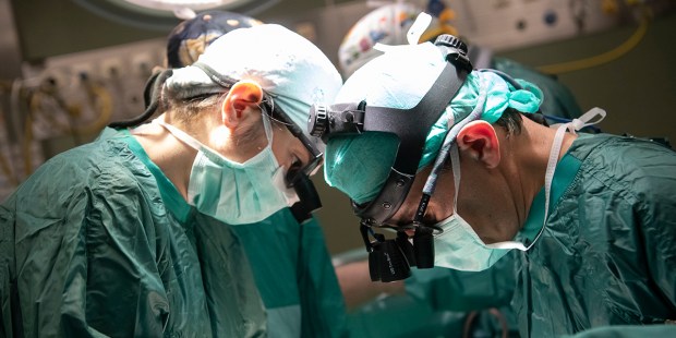Pope's hospital performed 4 organ transplants in one day - Vimarsana News