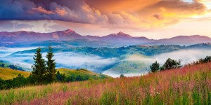 Why rose vestments should remind us of the sunrise