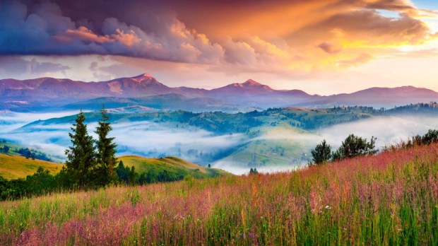 Foggy summer sunrise in the Carpathian mountains