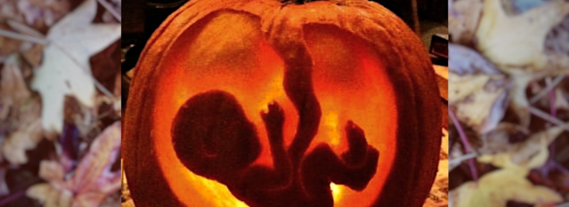 Prolife pumpkin